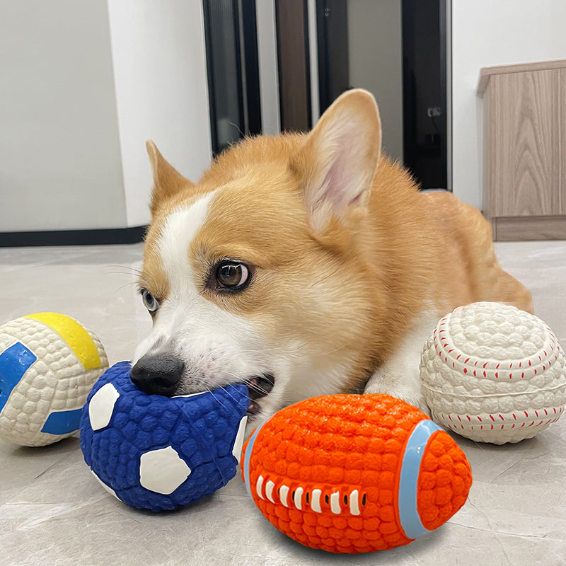Pet Toy Ball
